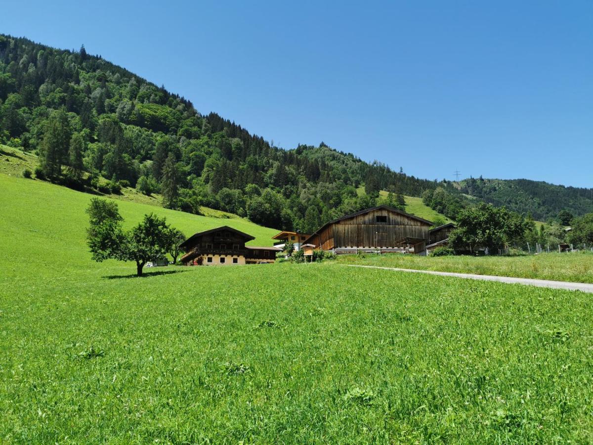 Entfeldhof - Familie Schernthaner Fusch an der Grossglocknerstrasse Dış mekan fotoğraf